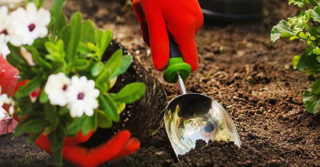 What does a gardener do