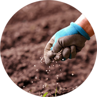 When can I put grass seed down in Ottawa?