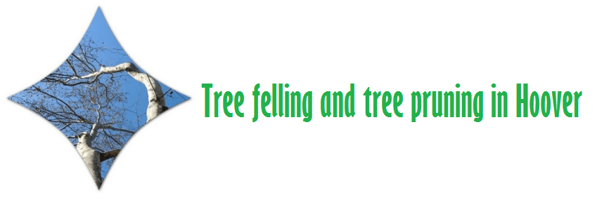 Tree felling and tree pruning in Hoover