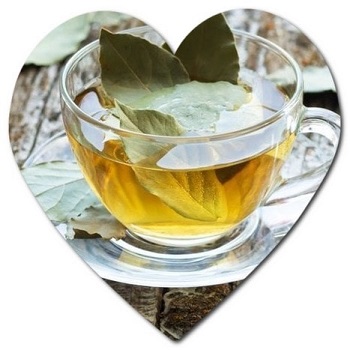 What are the Benefits of Bay Leaf Tea in Turkey