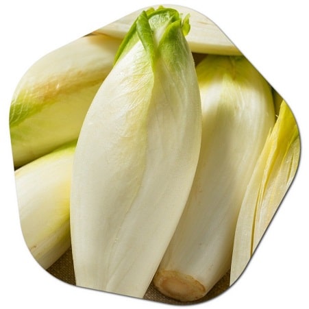 What is the national vegetable of Belgium