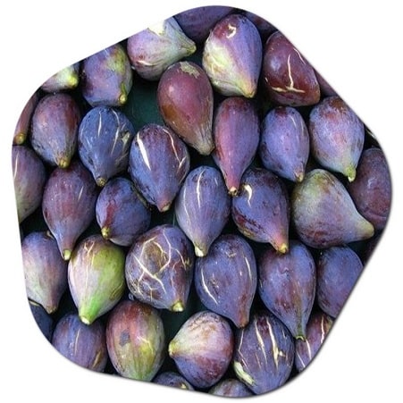 What is a French fig