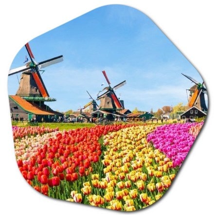 What is the famous flower garden in the Netherlands