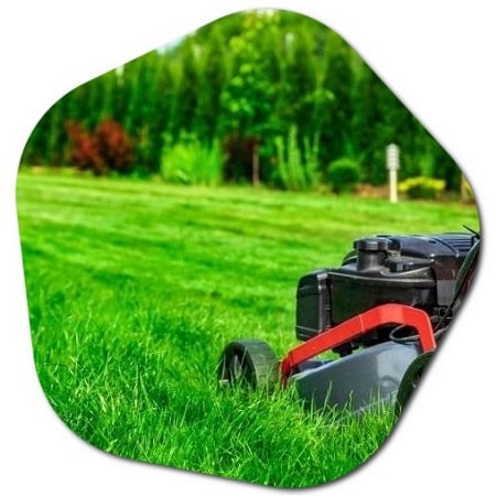 What is the latest time to cut grass London
