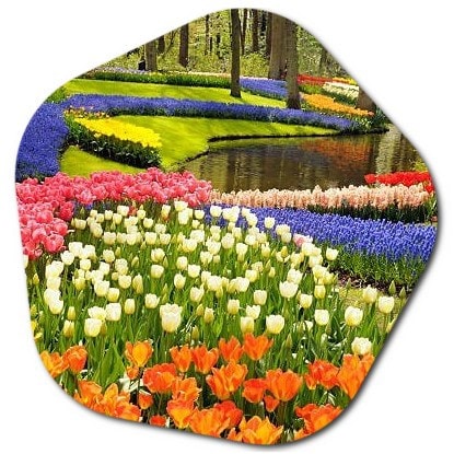 What is the most beautiful flower garden in the Netherlands