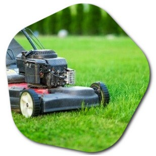 What months should the grass be cut in London?

