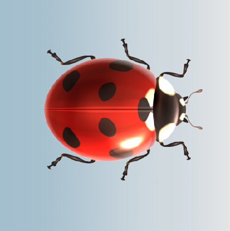 Why are there 3 ladybugs in my room? What ladybugs eat? Are ladybugs male or female? Why is it called ladybug?