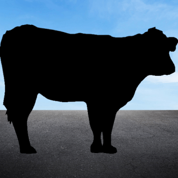 Agricultural products grown in Wyoming