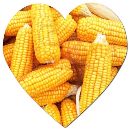 What are the 5 main crops grown in Wyoming