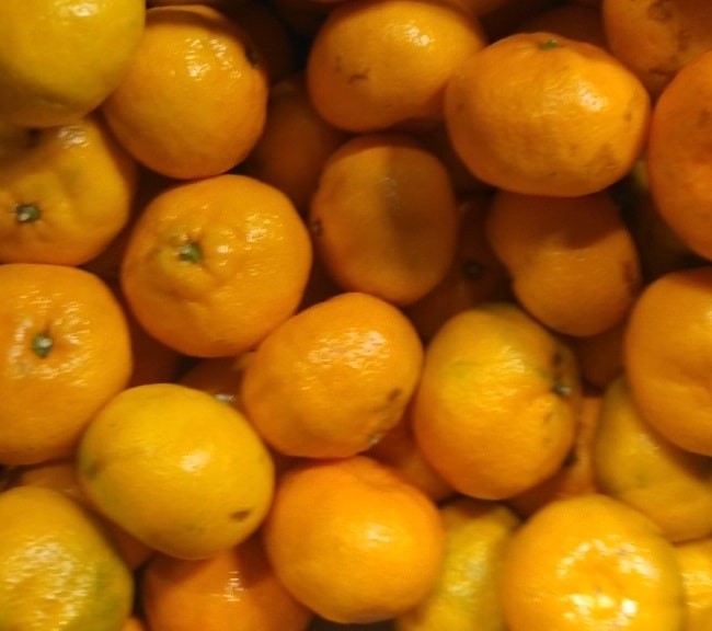 Where do tangerines grow best in the US