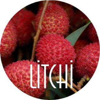 Litchi nedir?