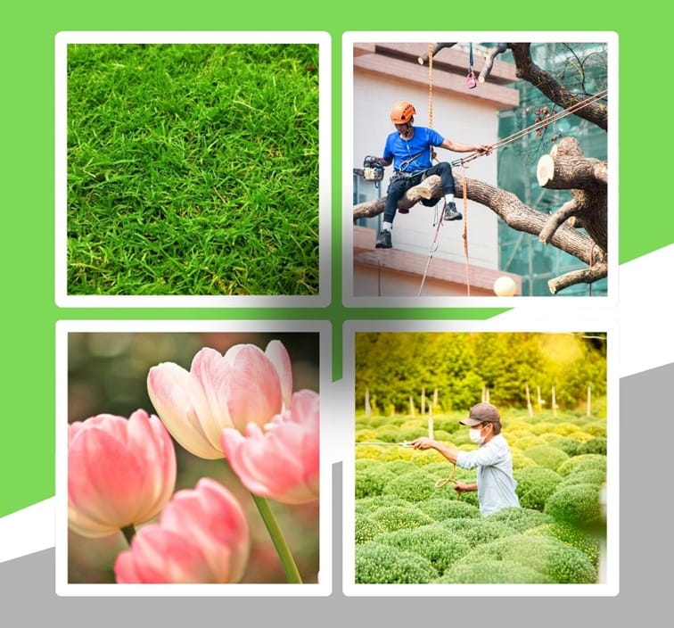 bahçe düzenleme peyzaj hizmeti istanbul