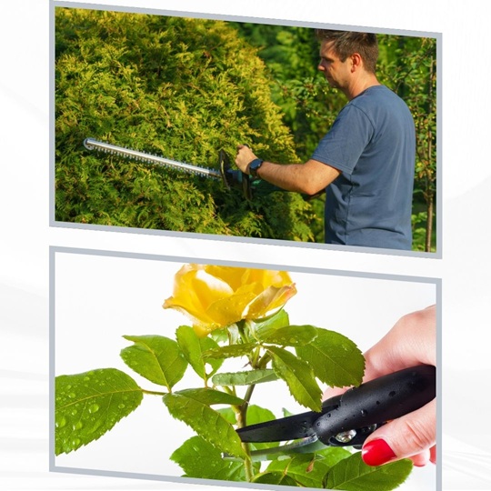 Is it okay to prune in September?