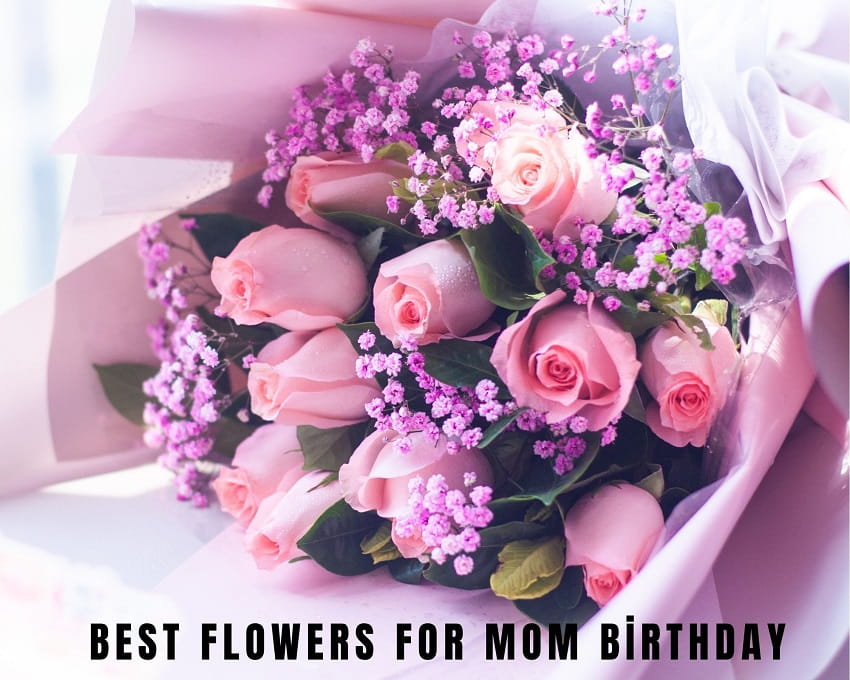 Best flowers for mom birthday