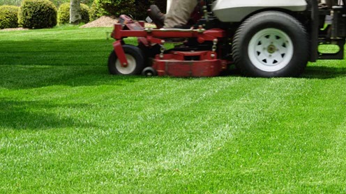 How Much Does Lawn Care Cost in Alabama