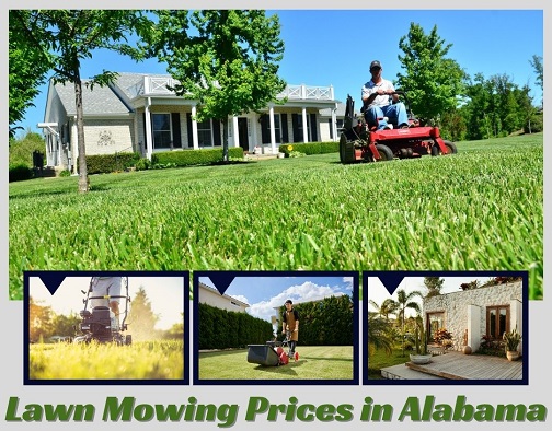 Lawn Mowing Prices in Alabama
