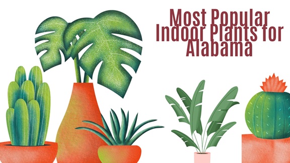 Most Popular Indoor Plants for Alabama