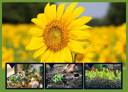 What Should I Plant Right Now in Alabama A Month-by-Month Planting Guide
