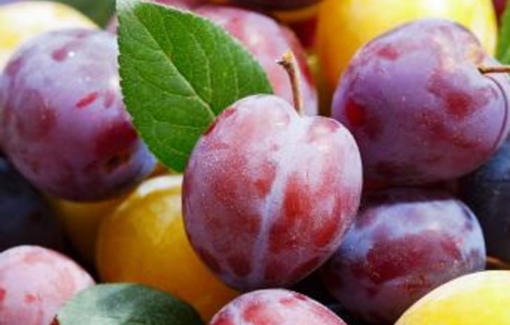 What are the most valuable crops grown in Alabama