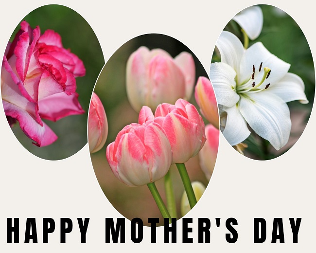 What flowers are suitable for Mother's Day?
